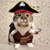 Party Clothes Funny Pet Costumes Halloween Costume Suit