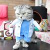 Party Clothes Funny Pet Costumes Halloween Costume Suit