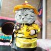 Party Clothes Funny Pet Costumes Halloween Costume Suit